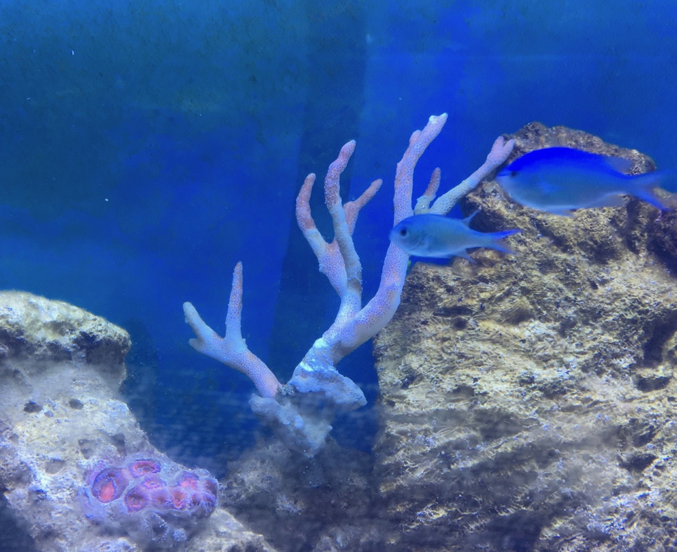 1E023A74-B028-4CA2-BA58-0657D207C299 (2)