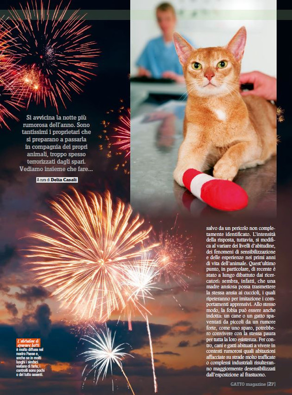 Ga Ma Dic 2017 - Gen 2018 (8)