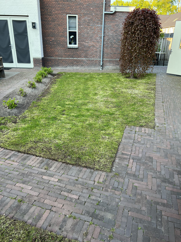 B167AA1B-653E-431D-A453-59FD2259F67D