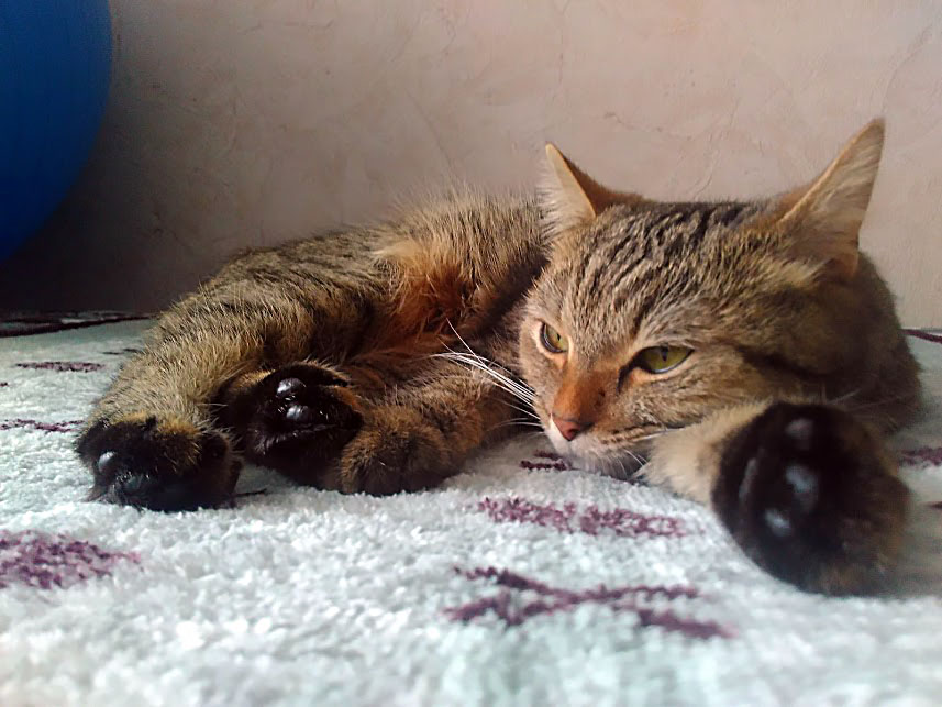 IMG-2019-03-28-113936.jpg