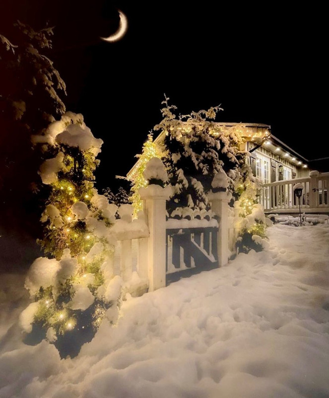 Screenshot_20231108_212541_Instagram