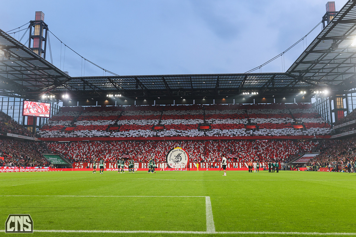 fc_regensburg_2425_002b
