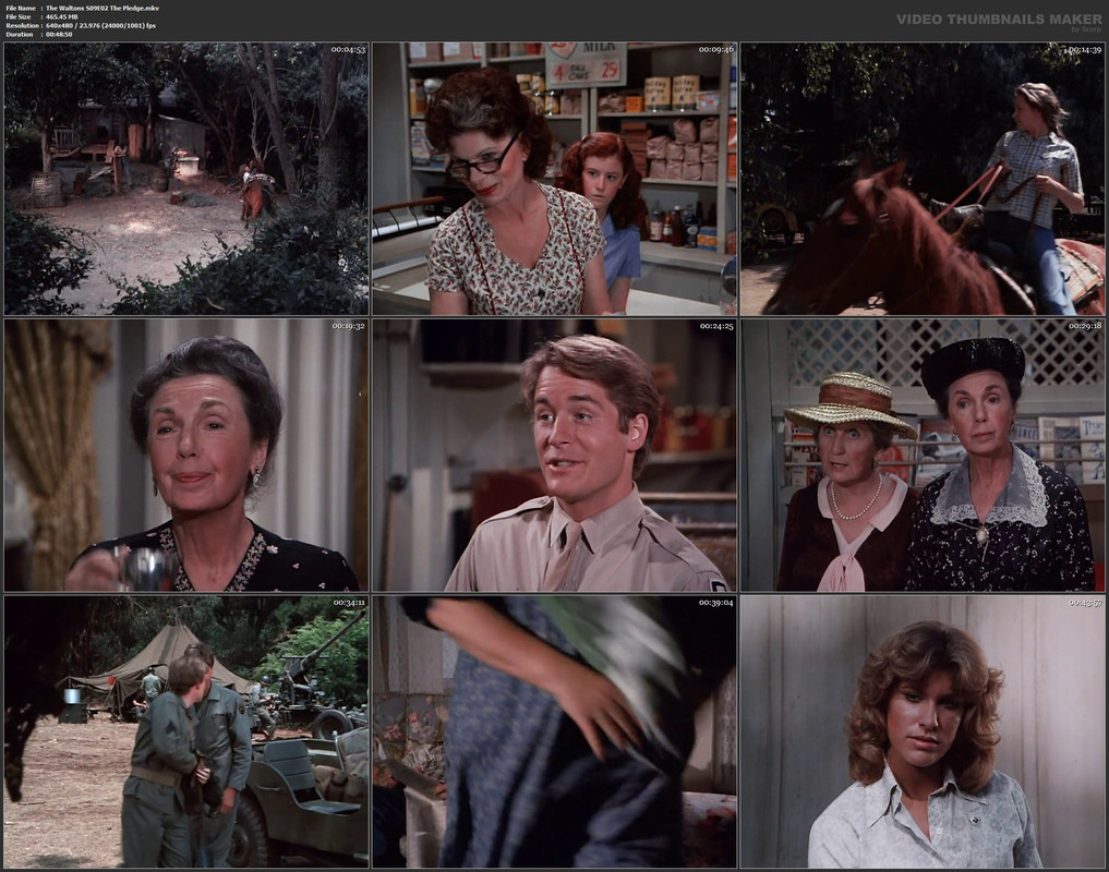 The Waltons S09E02 The Pledge.mkv