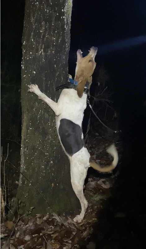 7875D79D-59BC-4341-9B2B-CD9C76DC6982