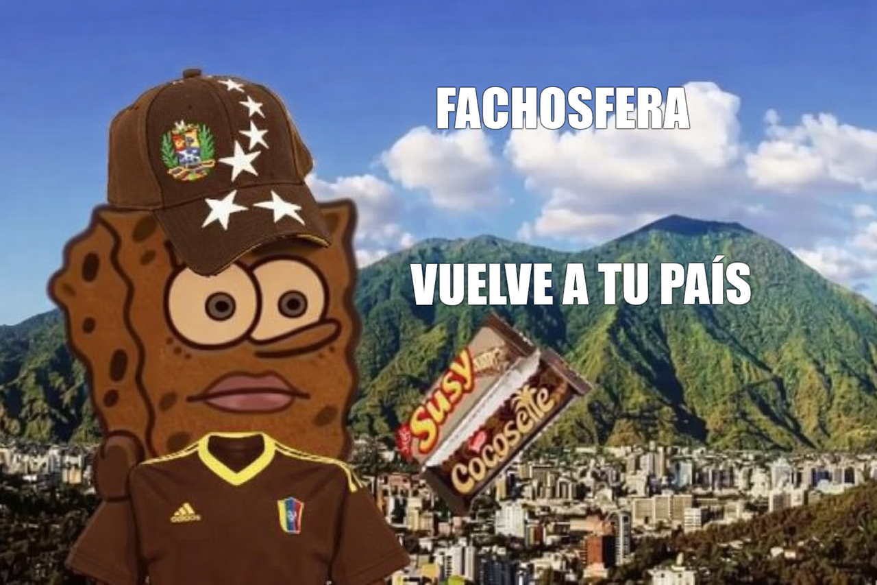 bibi(1).png