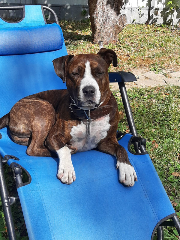 517CE86E-E13C-427E-84AB-A6B4323454F0