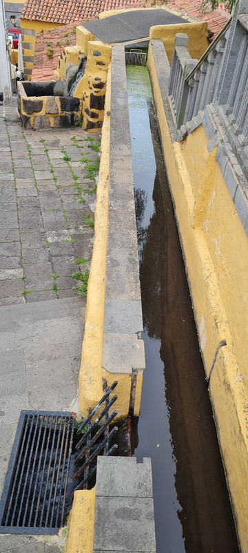 Gran Canaria: una paleta de colores - Blogs de España - Cocodrilo Park - Playa del Inglés - Arucas - Firgas (12)