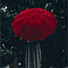 Rain-A-5