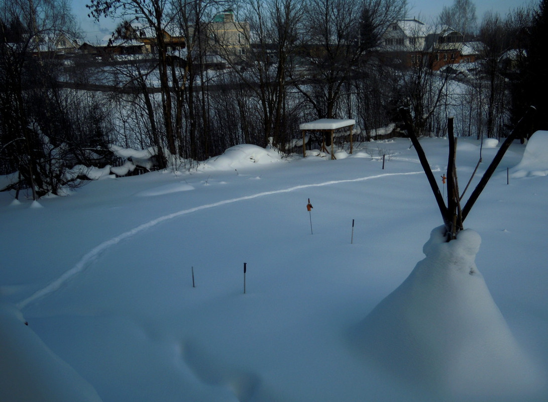 DSCN3614.jpg