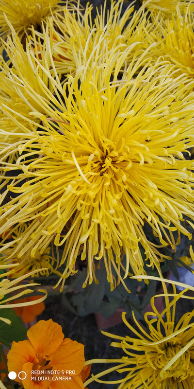 IMG-20190201-171714.jpg
