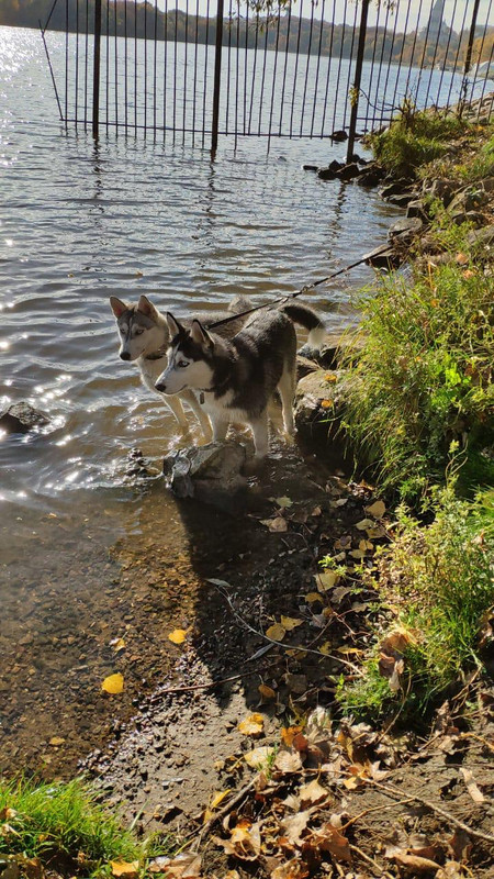 WhatsApp Image 2019-07-17 at 20.35.51(1)