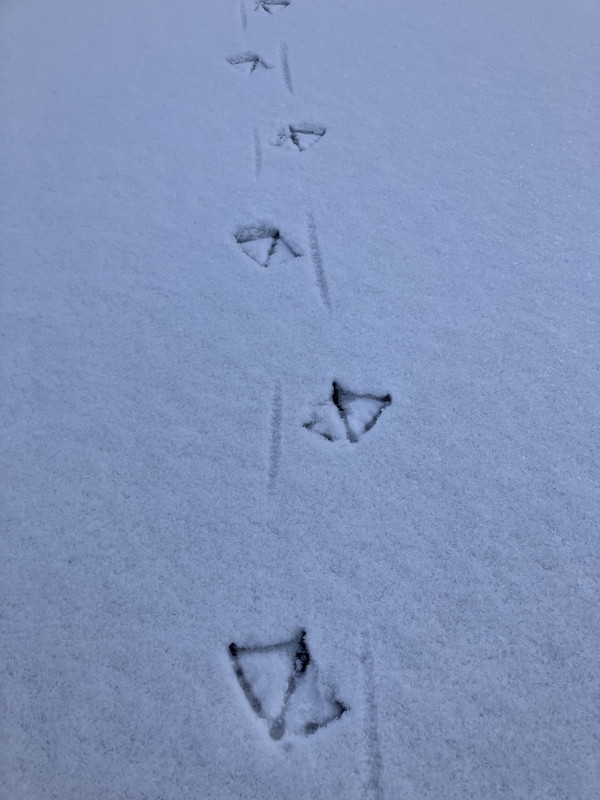 9D8DEE05-9A63-47DE-A42C-478B143FF2E2