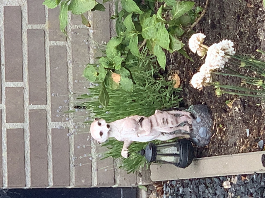 9869E741-5F27-4D0F-AA6A-80EBED1C0228