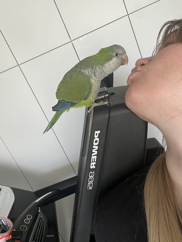 F8186C6D-52E9-41AF-A0C6-C8A5F2C8A5B1