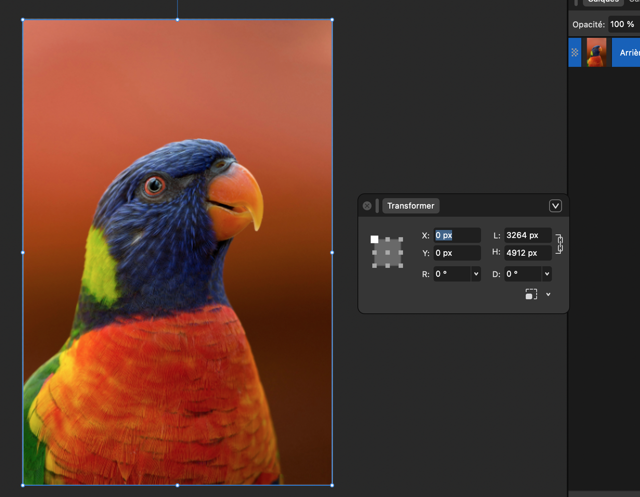 Capture d écran 2026 02 25 à 07 45 14
