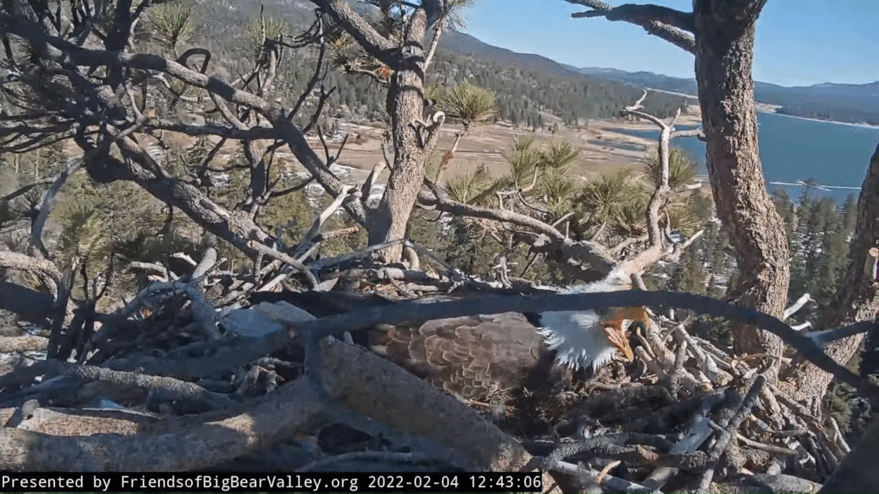 Webp.net-gifmaker (2)