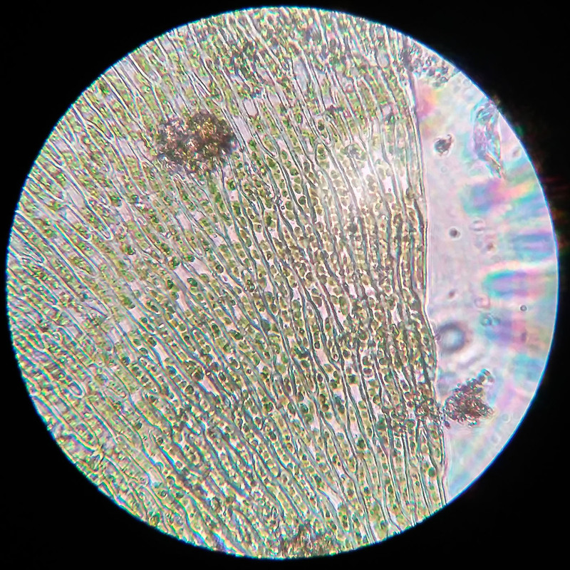 IMG 20250616 221005 HDR