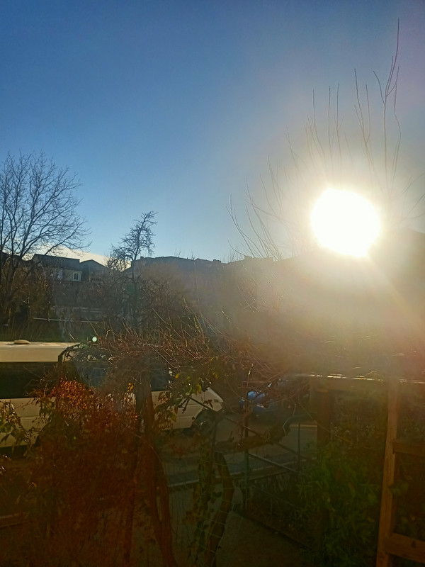 IMG20211231145617.jpg