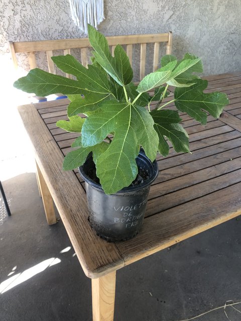 16BD47B7-B4FA-44F5-877A-8B6B78723A8C