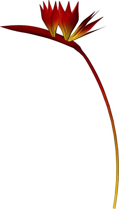 e76_ks
