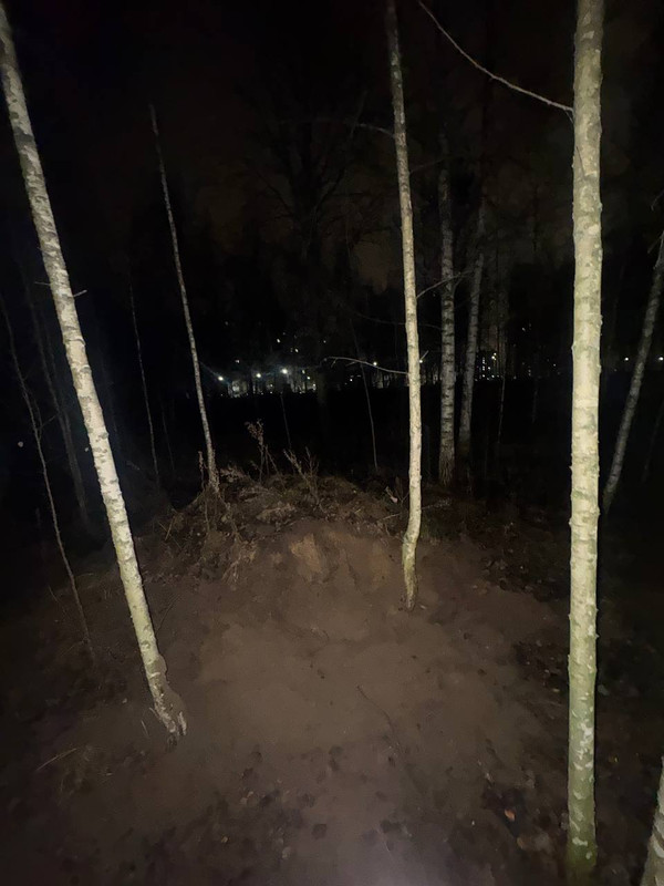 photo 15 2025 11 09 00 40 37