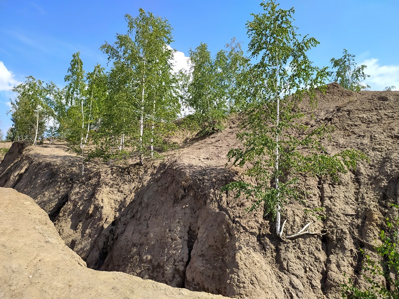 Дикое поле от Цны до Дона. Тамбов и Елец, Воргольские Скалы, Романцевские горы...