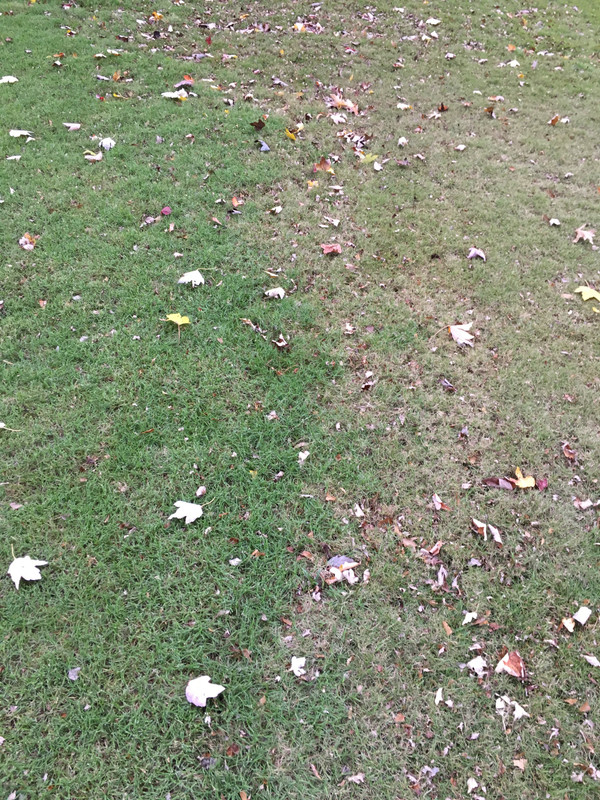 F836BDA6-D378-4609-83AB-D68C38A88376