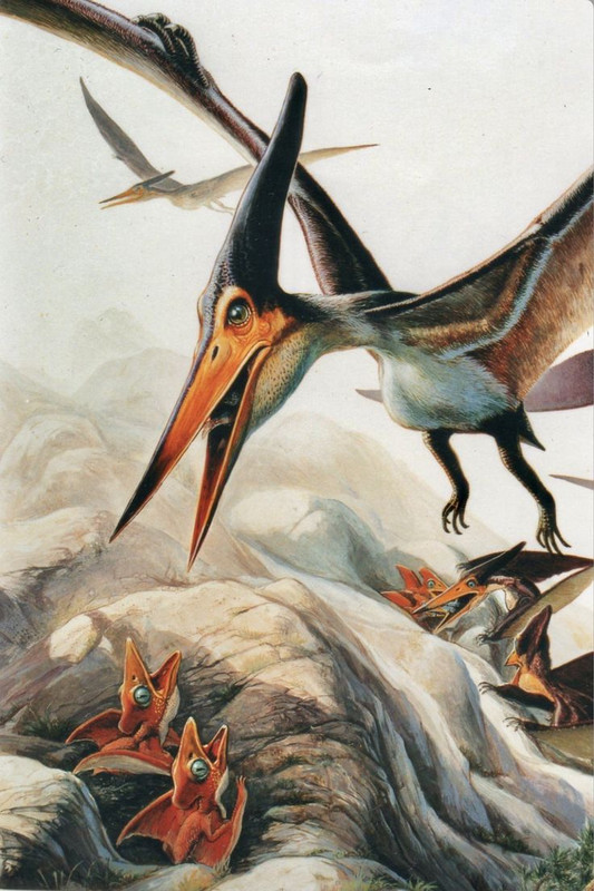 2b6a25587128f6f20761168cc4499bcb