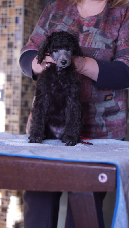 F9501961-EBFB-40AF-9D8C-394B291C89E9