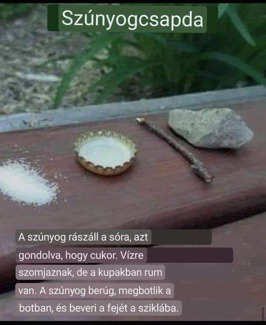 sz-nyogcsapda.jpg