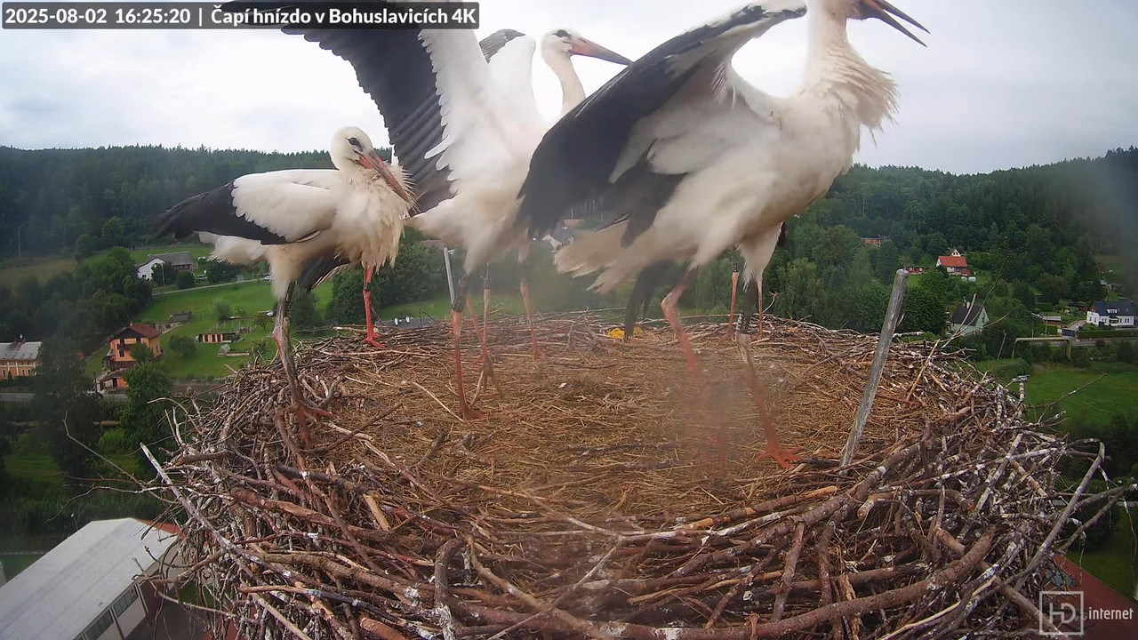 Tiešraide no KARA uzņēmuma stārķu skursteņa Bohuslavicē netālu no Trutnovas 18-18-30 screenshot (2)