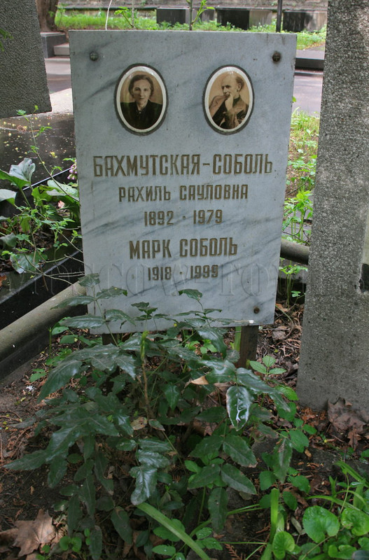 sobol-ma-760x1153