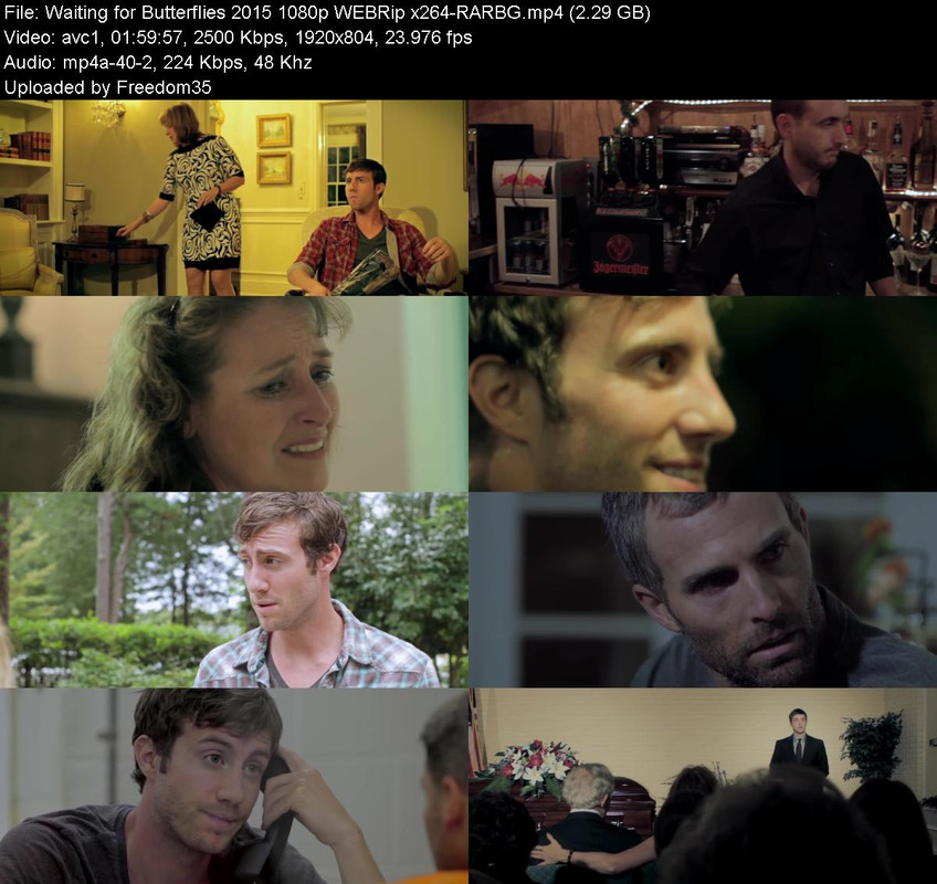 Waiting-for-Butterflies-2015-1080p-WEBRi