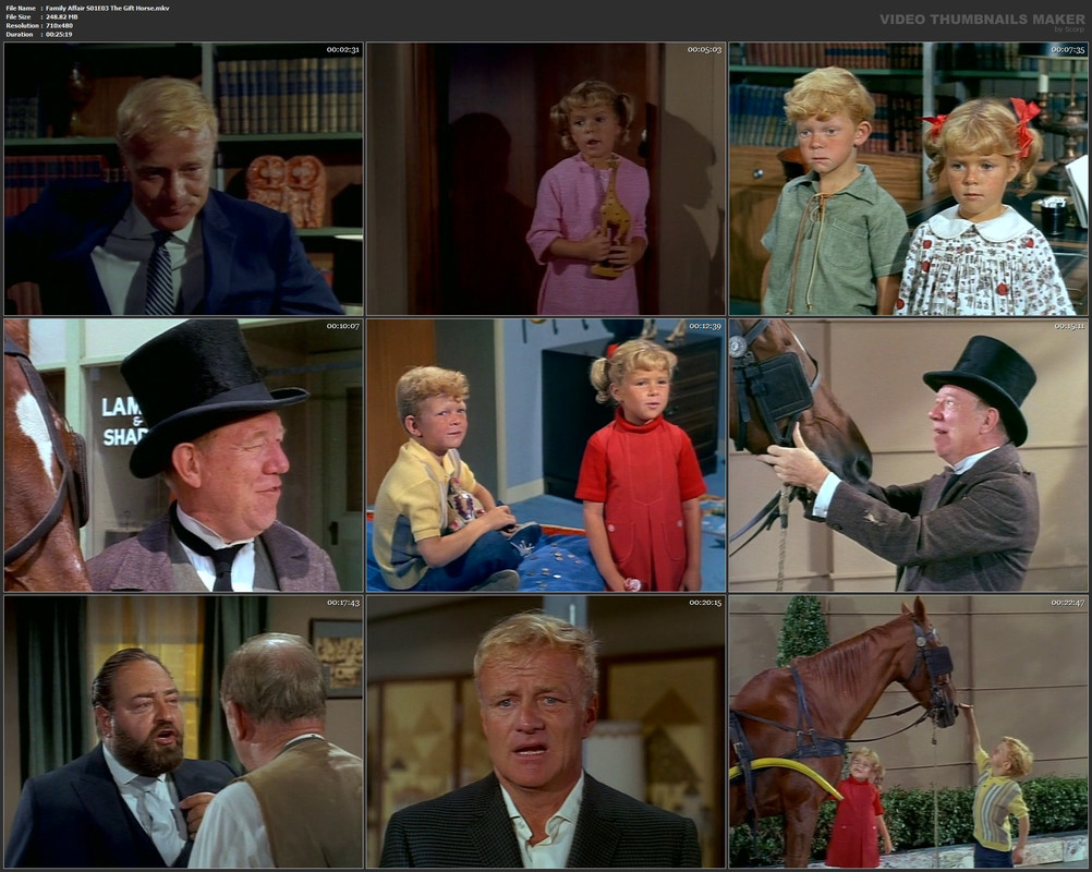 Family Affair S01E03 The Gift Horse.mkv