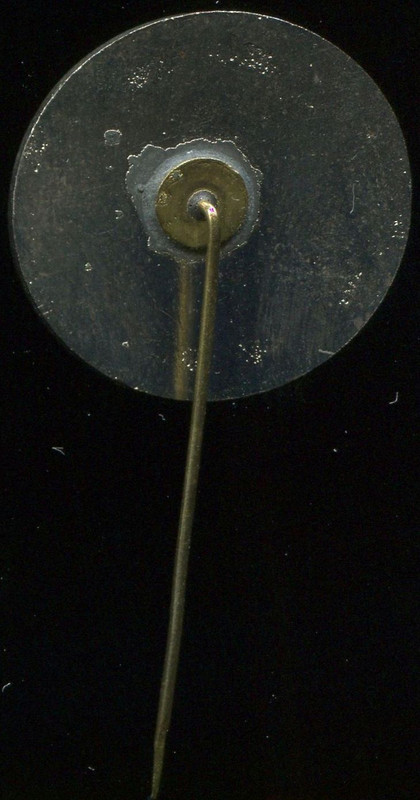 Турнир по волейб пам Гагарина. вильнюс, 1978. Б.