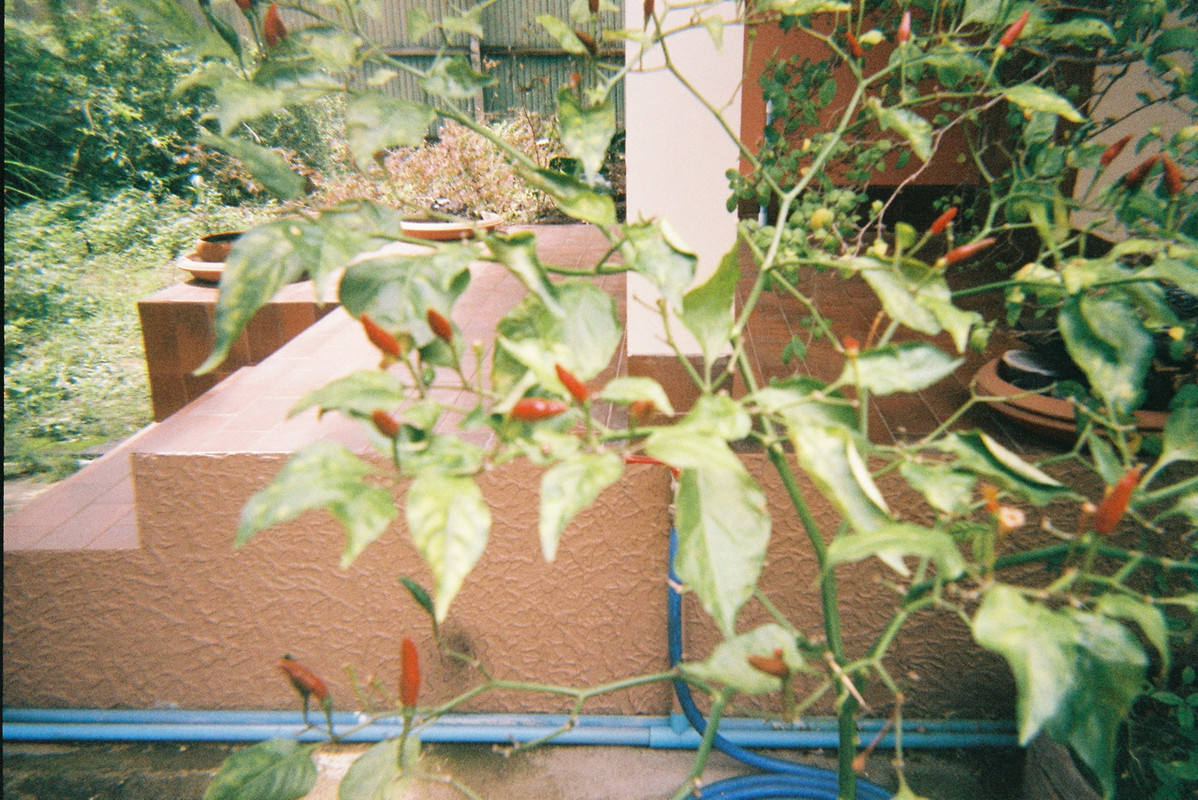 Fuji-41-resize