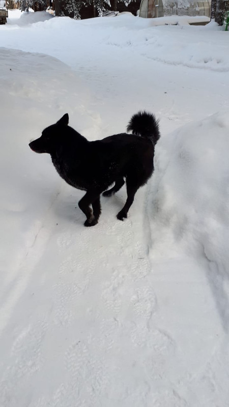 изображение_viber_2024-02-15_14-24-54-154