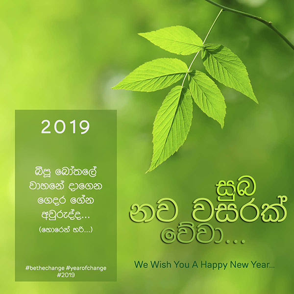 2019-V.jpg
