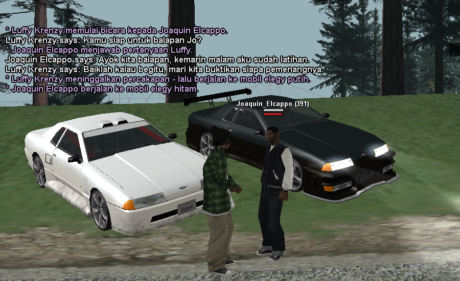 SS-RP-1.png