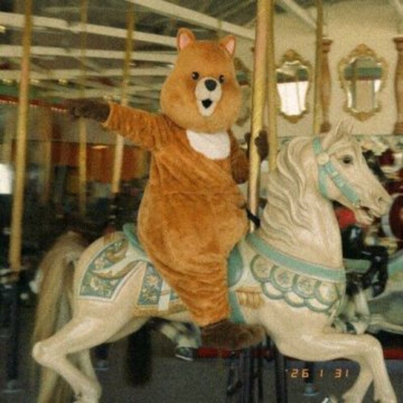 정말 죽었다 깨어나도 - 네이비쿼카 (NavyQuokka)