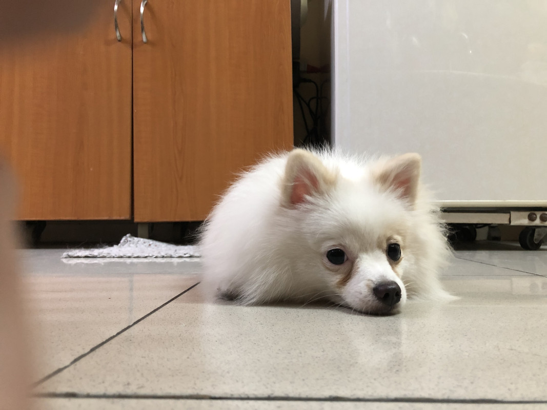 5826111C-9946-4782-A6BD-3DDD84504BF4