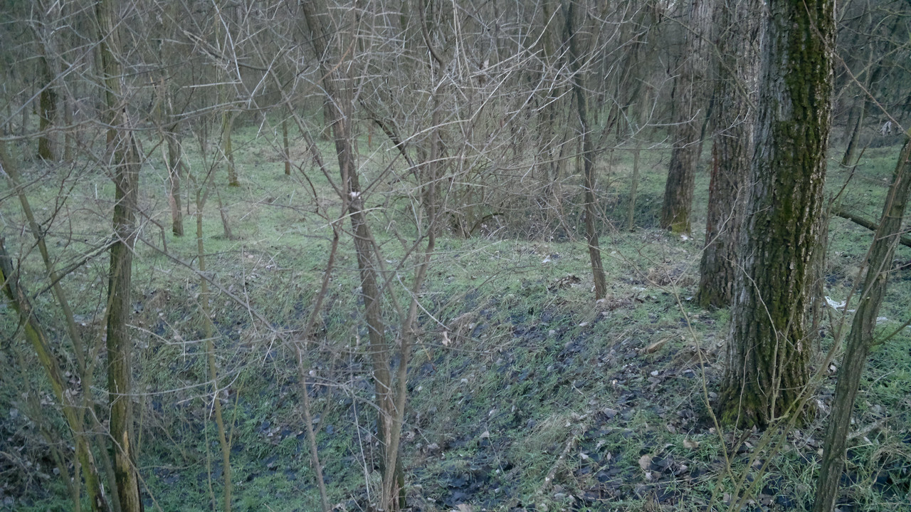 A Kálvária erdőben lévő bombatölcsérek,vagy inkább robbantógödrö