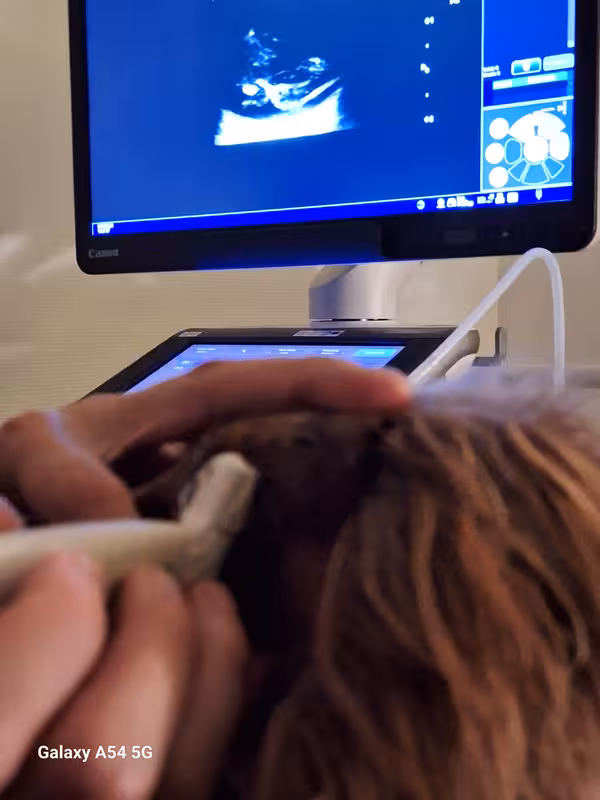 [Image: 20240924-150837.avif]