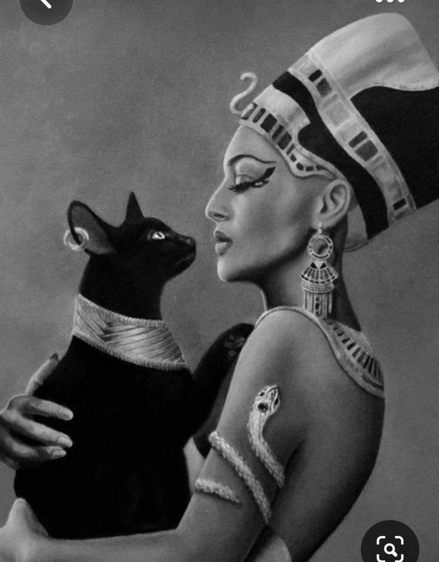 Screenshot_20230606_231531_Pinterest