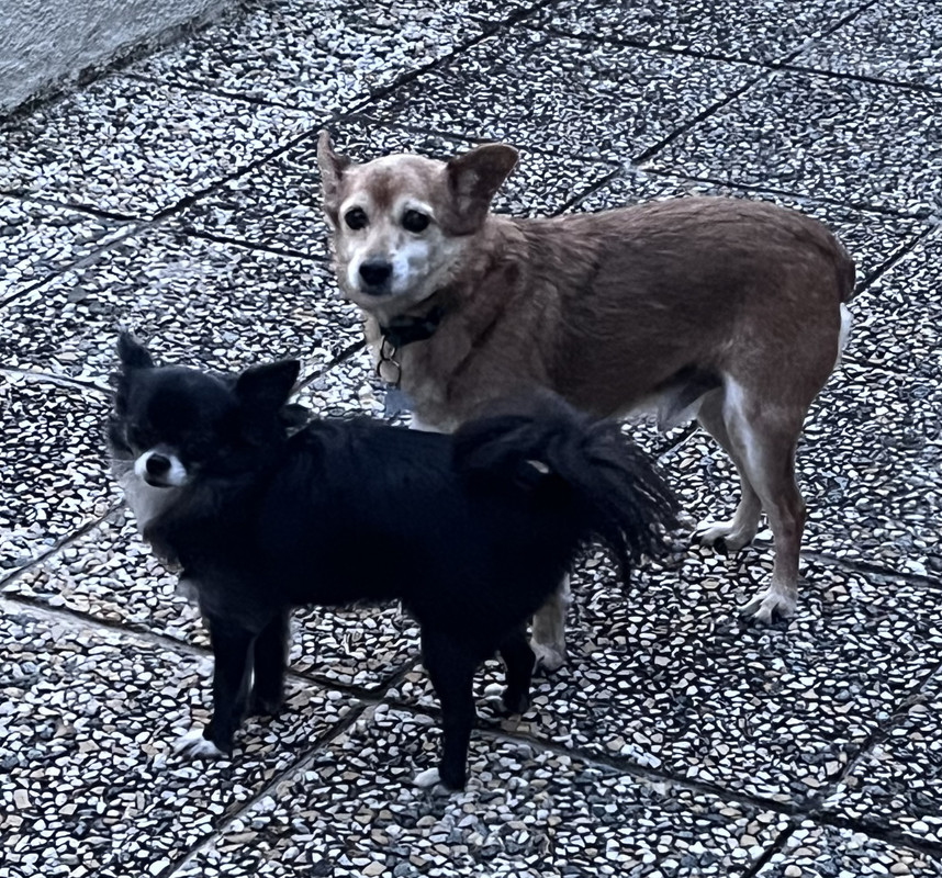 [Image: IMG-7937.jpg]