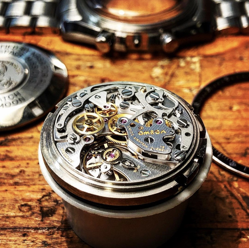 E335613B-FFCD-463C-9AE1-971FC1F29A7F