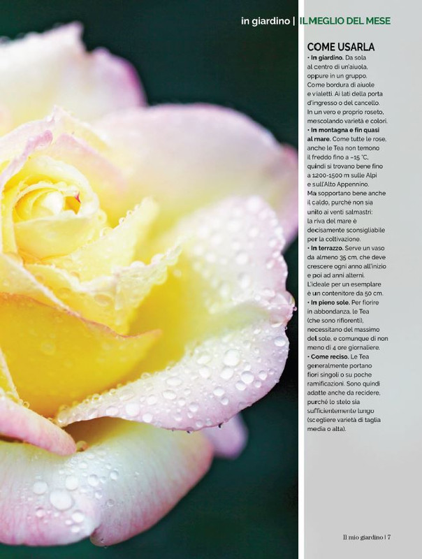 Il Mio Giar GIu-Lug 2023 (2)