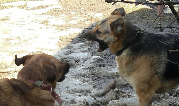 831CDE67-BB2F-4D12-B157-DCF4B615623A