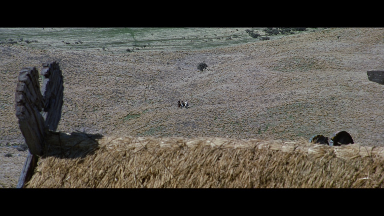 The Lord of the Rings- The Two Towers (EXT.) PT. 1.mkv_snapshot_01.15.51_[2020.12.08_18.12.02]