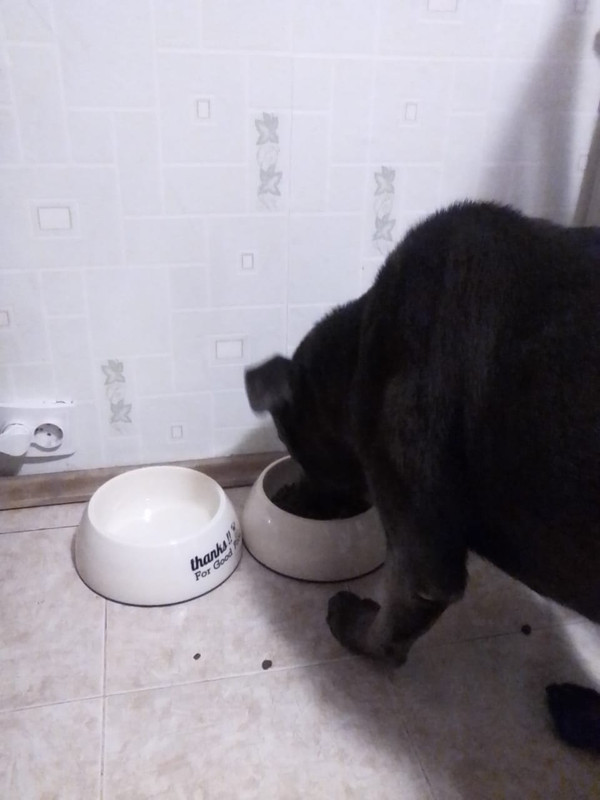 C7EAC122-AF0D-4974-8670-C8BD2088A01C